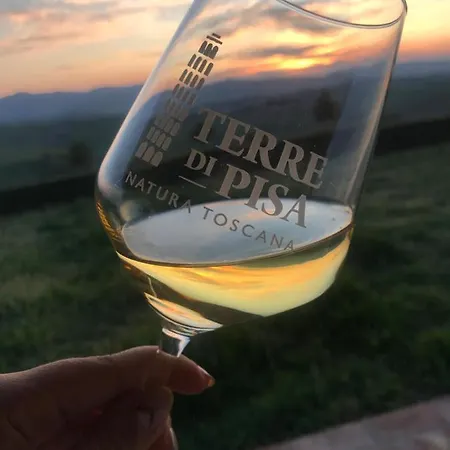 مزرعة للإقامة Podere Marcampo فولتيرا